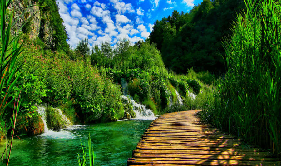Stunning Wooden Walkway In Croatia's Nature Park Wallpaper
