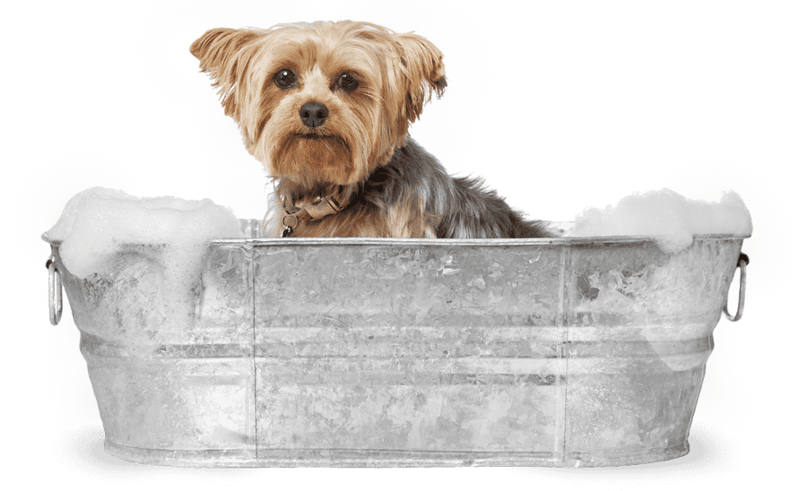 Stylish Gentleman In Front Of Mirror Personal Grooming And Skincare Wallpaper