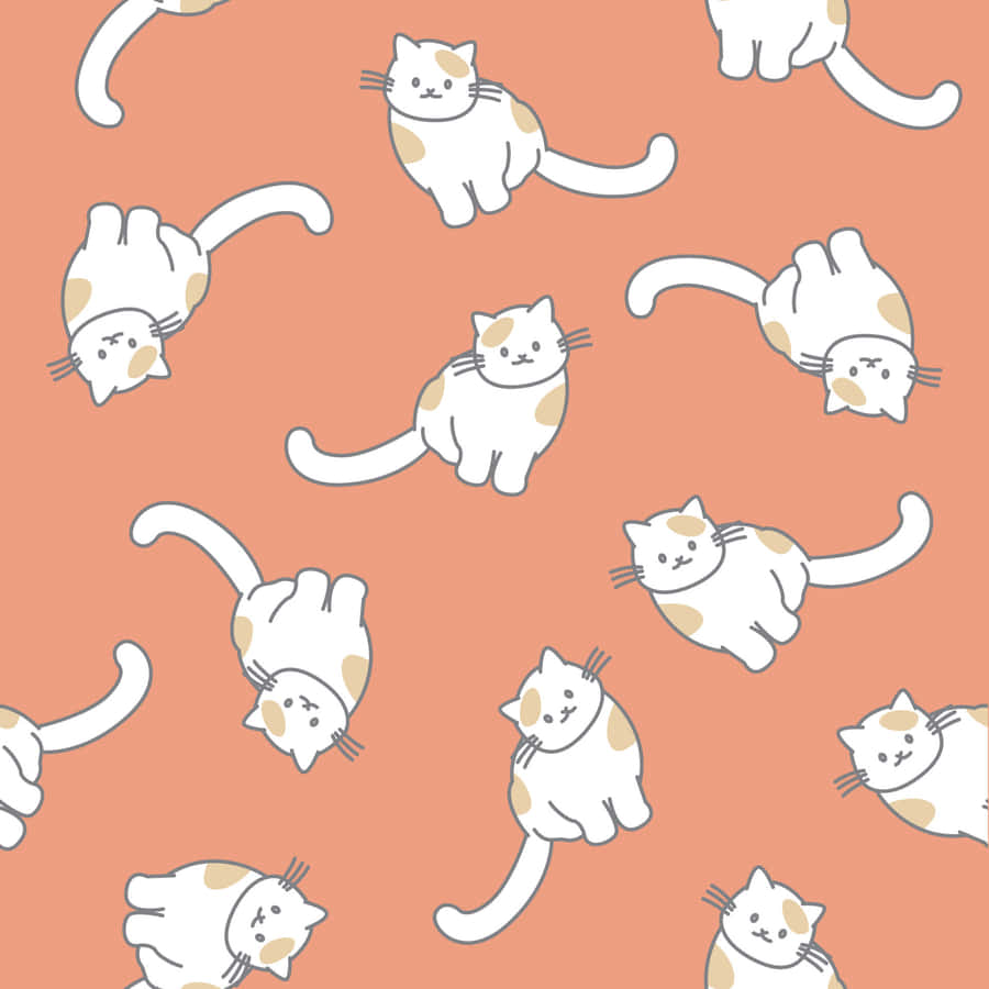 Such A Cute & Unique Pattern Of Cats! Wallpaper