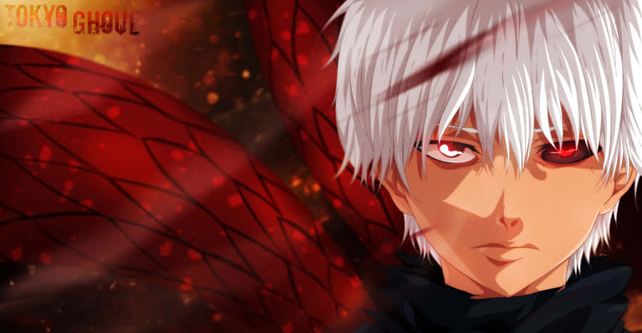 Sui Ishida, The Creator Of Tokyo Ghoul Wallpaper