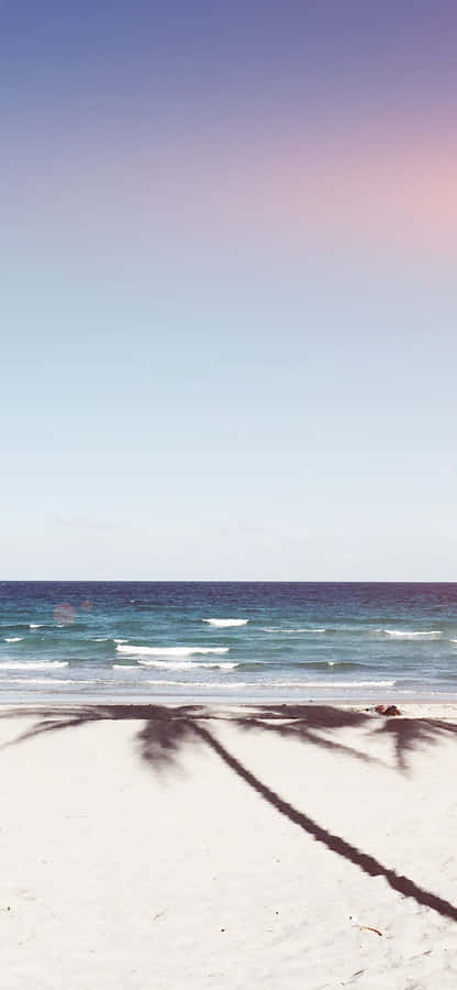 Summer Beach Iphone Palm Tree Shadow Wallpaper