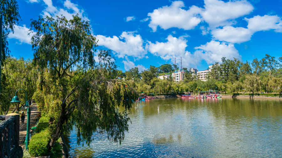 Summer Landscape - Majestic Mountain Surrounded By Lush Green Trees Wallpaper