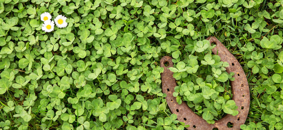 Summer Vibes In A Beach In Acapulco, Mexico Wallpaper