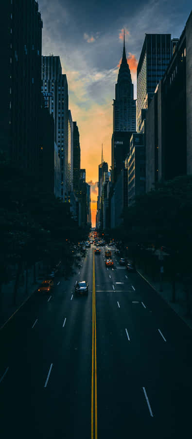 Sunlit Rose Petals Wallpaper