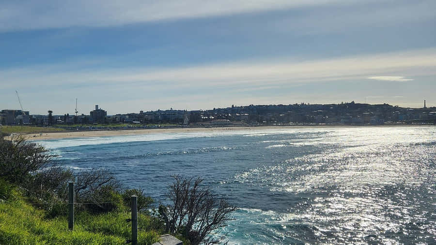 Sunny_ Bondi_ Beach_ View_ Australia.jpg Wallpaper