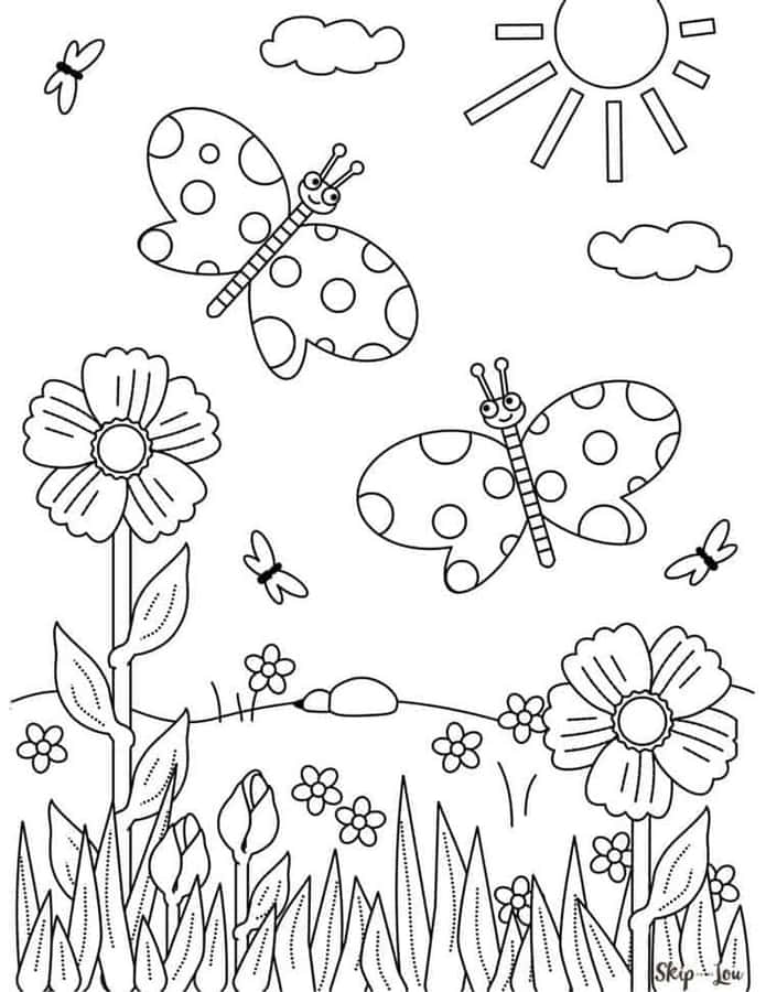 Sunny Butterfly Coloring Page Wallpaper
