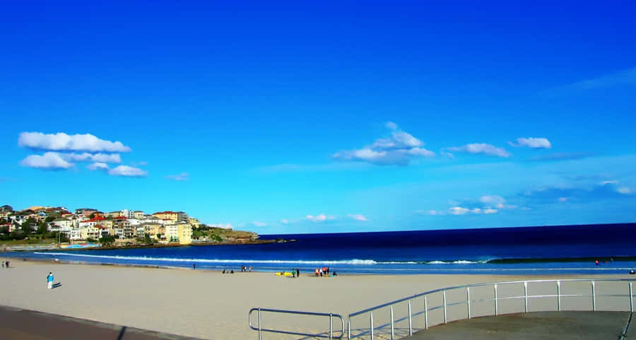 Sunny Dayat Bondi Beach Wallpaper