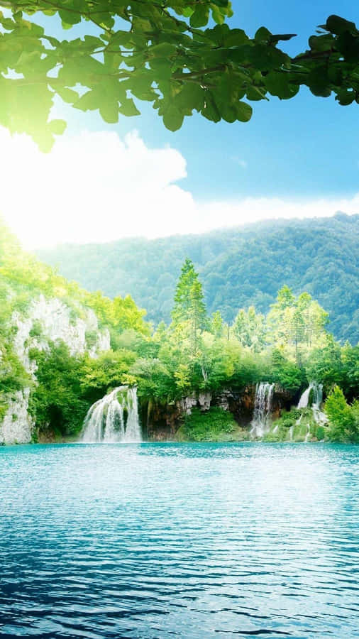 Sunny National Park Portrait Wallpaper