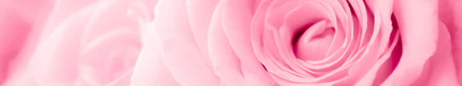 Sunrise Over A Mountain Lake. Wallpaper