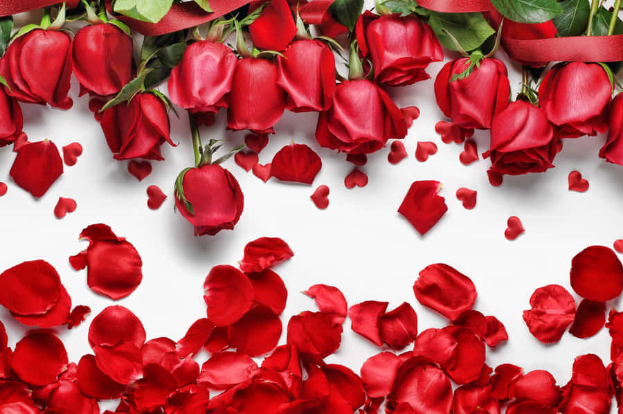 Sunrise Over A Mountain Lake Wallpaper