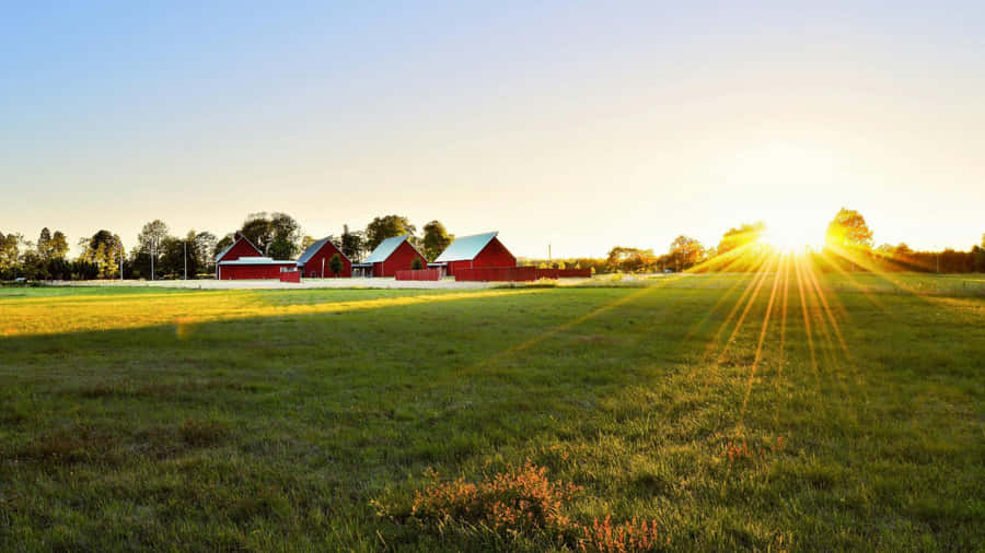 Sunrise Over Expansive Farmland Wallpaper