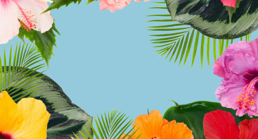 Sunrise Reflection Wallpaper