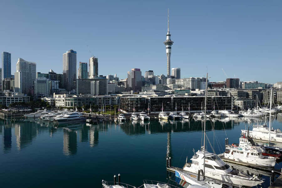 Sunset Over Auckland Skyline Wallpaper