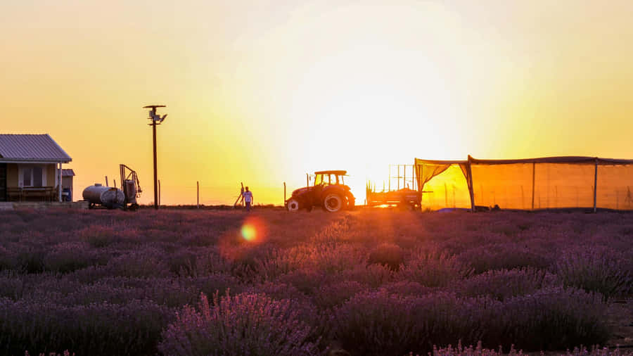 Sunset Over Country Farm Wallpaper