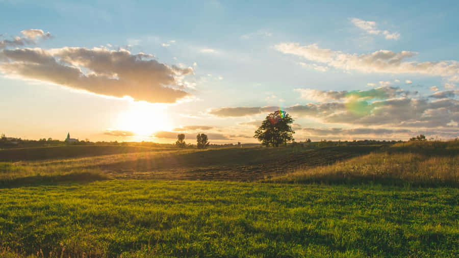 Sunset Over Green Farmland Wallpaper