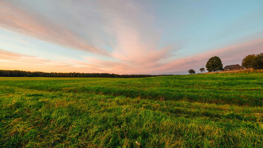 Sunset Over Green Farmland Wallpaper