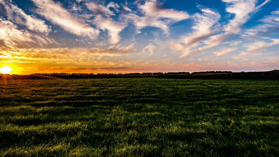 Sunset Over Green Farmland Wallpaper