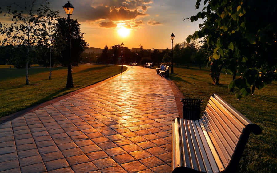 Sunset Park Promenade Warmth Wallpaper