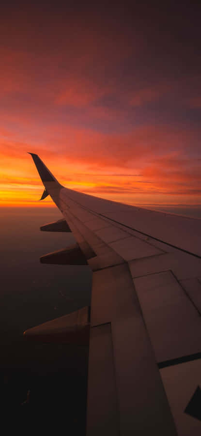 Sunset_ Wings_ Above_ Clouds Wallpaper