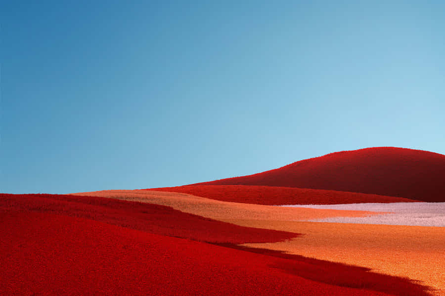 Superficial Red And Orange Soil Wallpaper