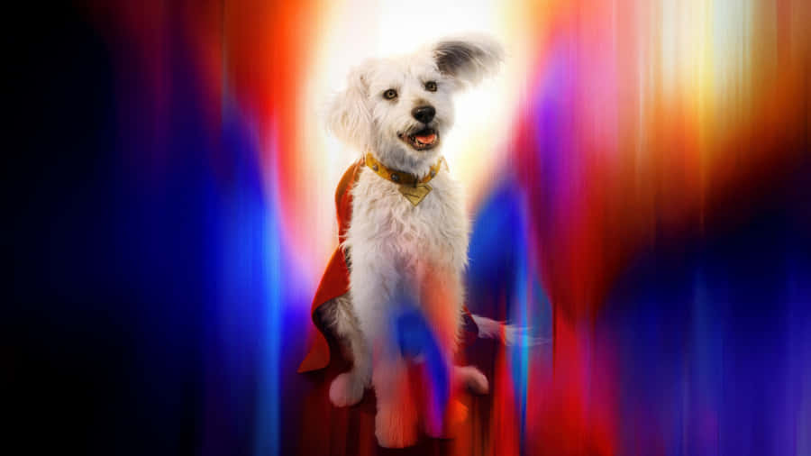 Supermans Loyal Canine Hero Wallpaper