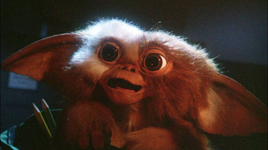 Surprised Gremlins Character Wallpaper