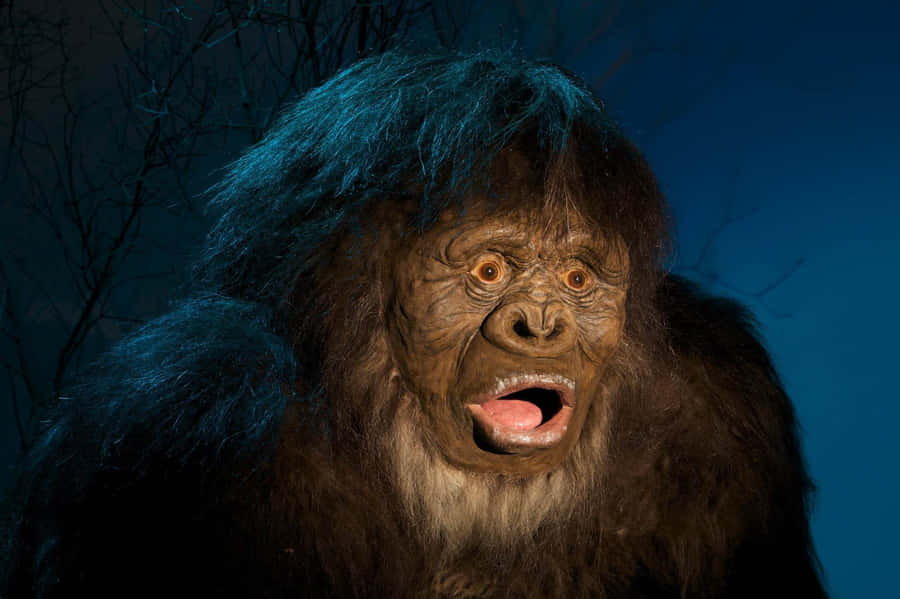 Surprised Monkey Meme Wallpaper