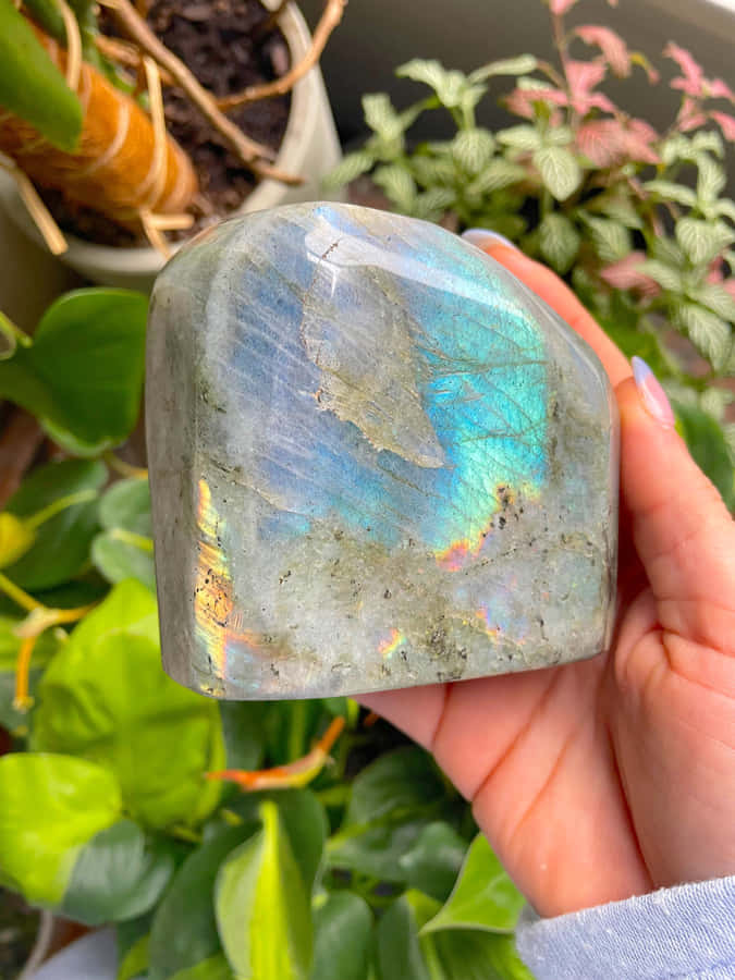 Surround Yourself In The Vibrant Hue Of Azure Blue Wallpaper