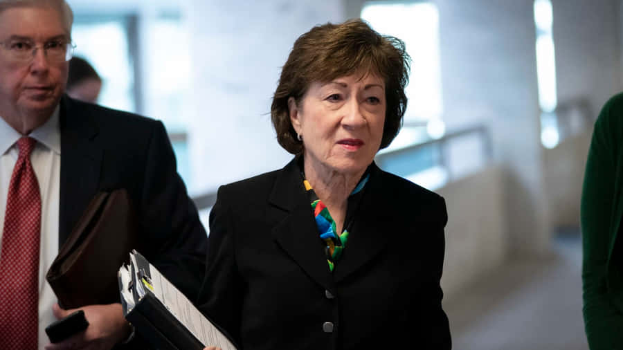 Susan Collins Black Suit Wallpaper