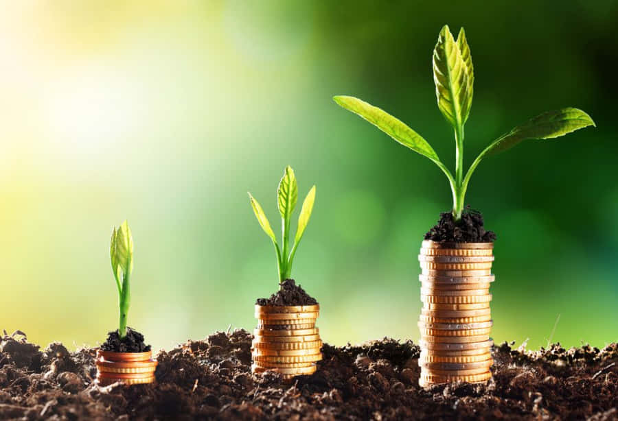Sustainable Green Finance Concept Wallpaper