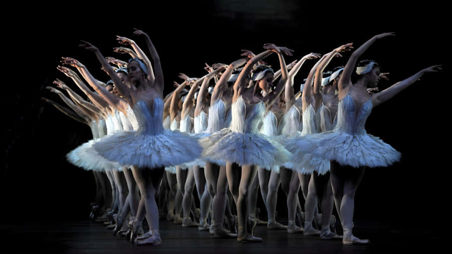 Swan Lake Ballet Performance Wallpaper