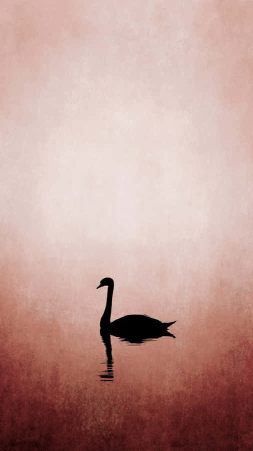Swan Lake Silhouette Wallpaper