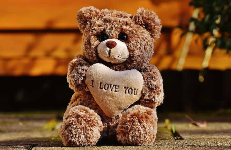 Sweetest Day Love Teddy Bear Wallpaper