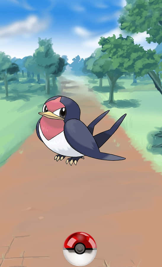 Taillow And Pokemon Ball Wallpaper