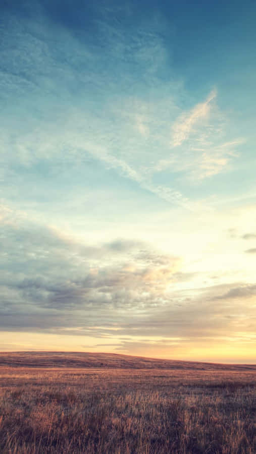 Take A Moment To Appreciate The Beauty Of Nature Wallpaper