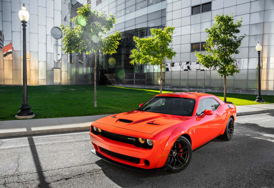 Take A Ride In The Powerful Dodge Hellcat 4k Wallpaper
