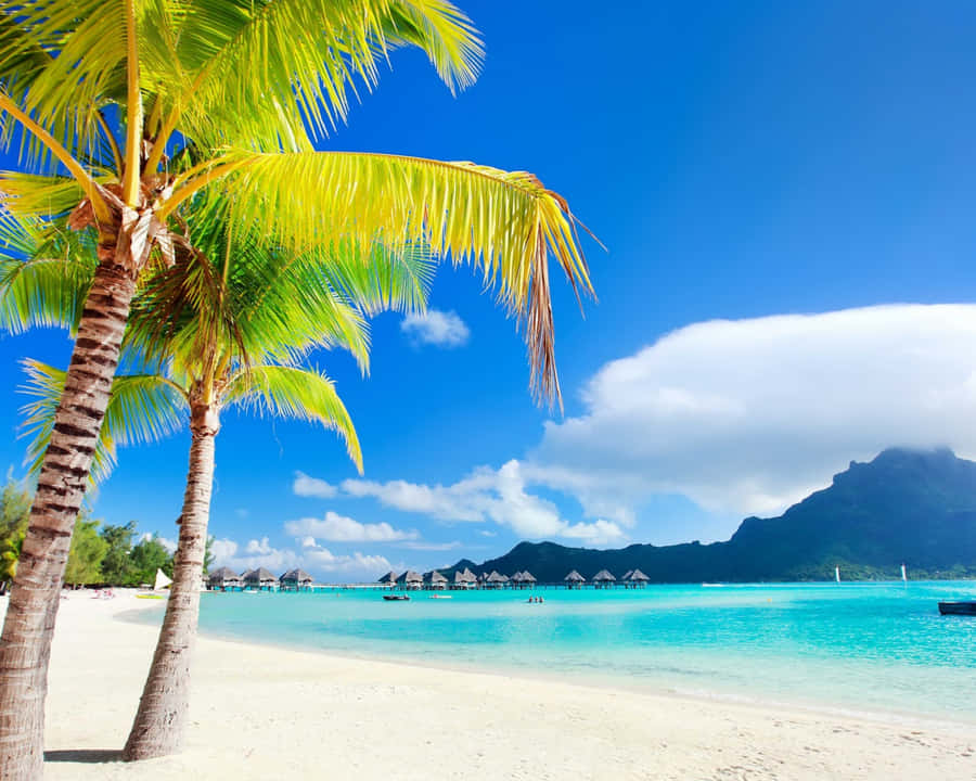 Take A Tropical Getaway In Magical Bora Bora Wallpaper