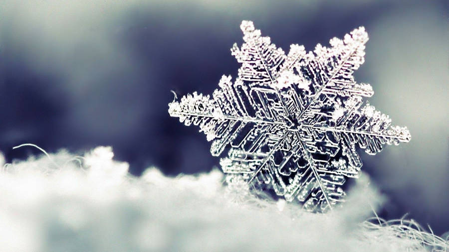 Take A Winter Break With A Beautiful Snow Desktop Wallpaper Wallpaper