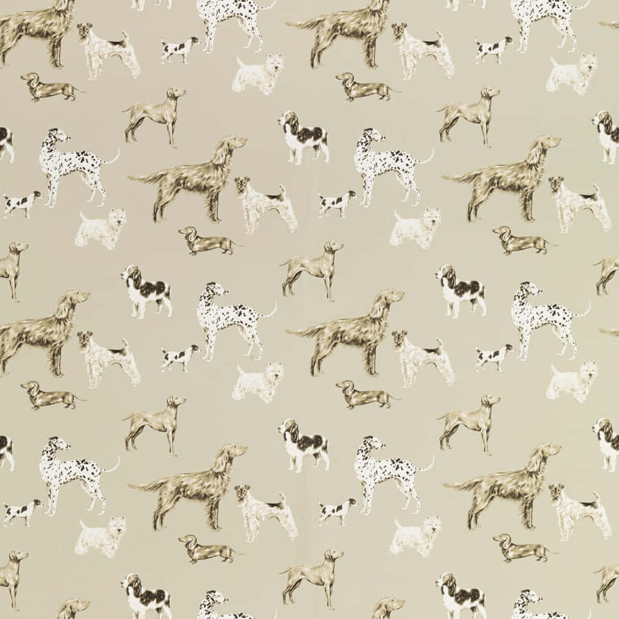 Take Control Of Your Grooming With The Right Products Wallpaper