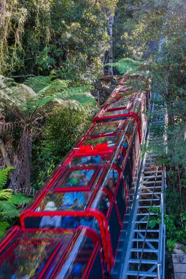 Take In The Breathtaking Beauty Of The Blue Mountains National Park Wallpaper