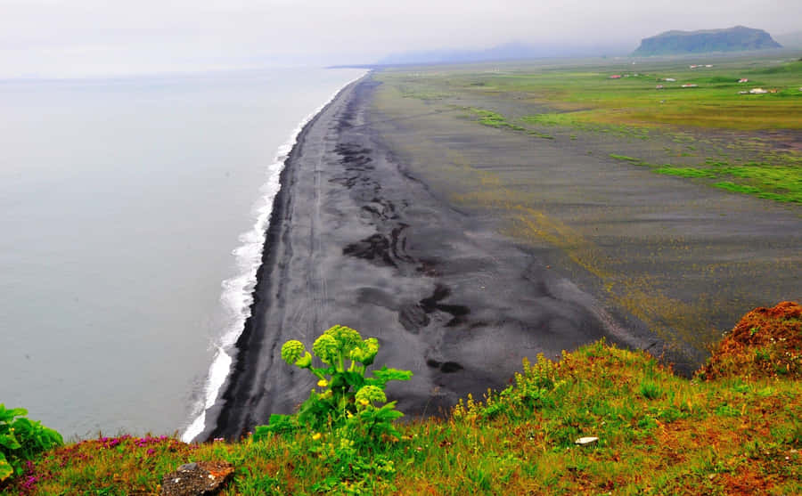 Take Time To Relax At This Beautiful Black Sand Beach Wallpaper