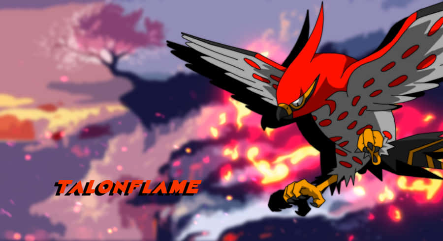 Talonflamein Flight Wallpaper