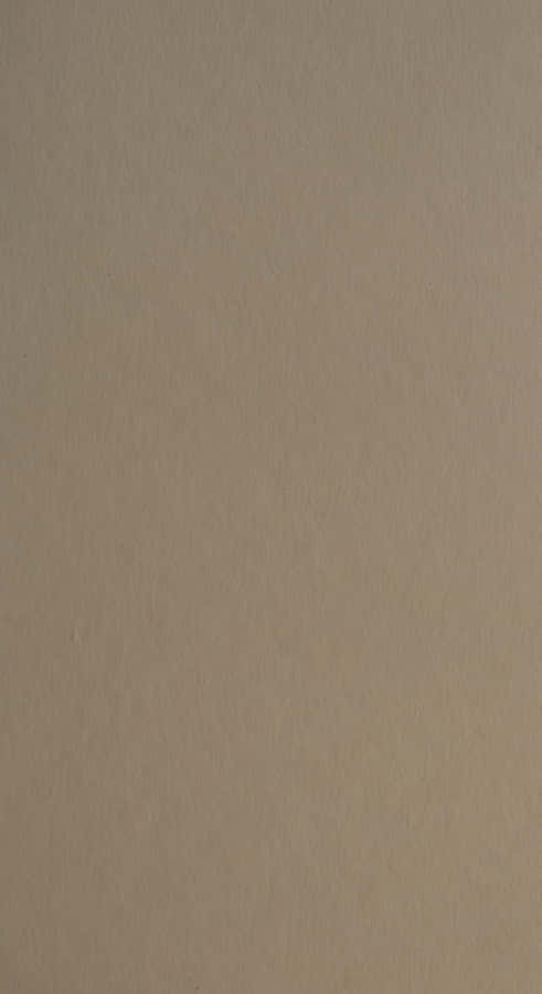 Taupe Color Swatch Wallpaper