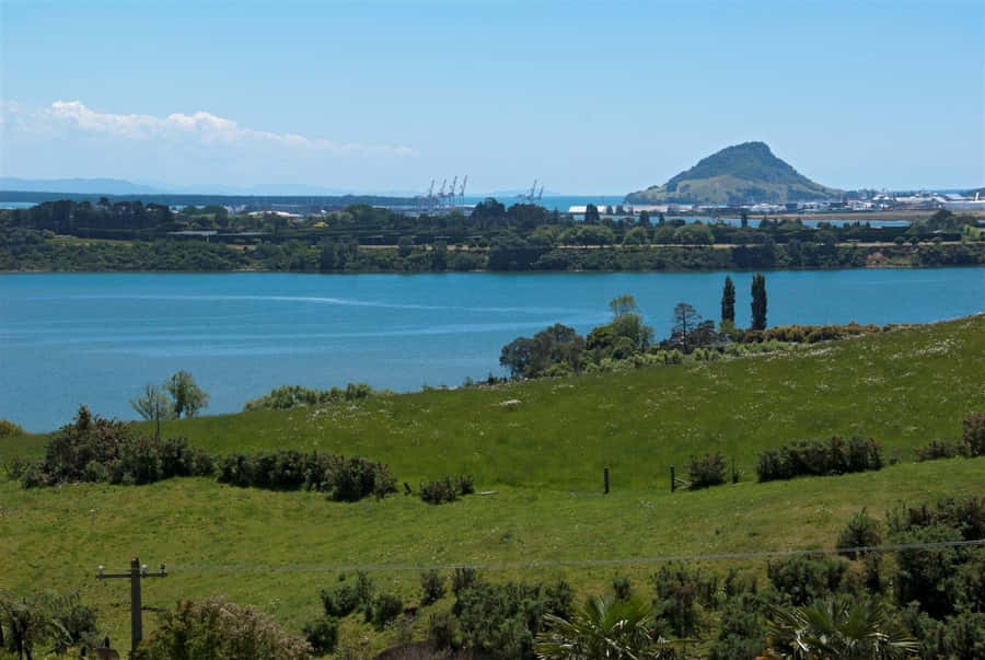 Tauranga Harbor View New Zealand Wallpaper