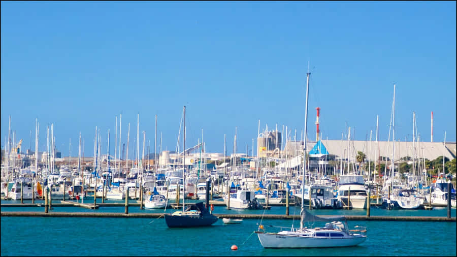 Tauranga Marina Sailboats New Zealand Wallpaper