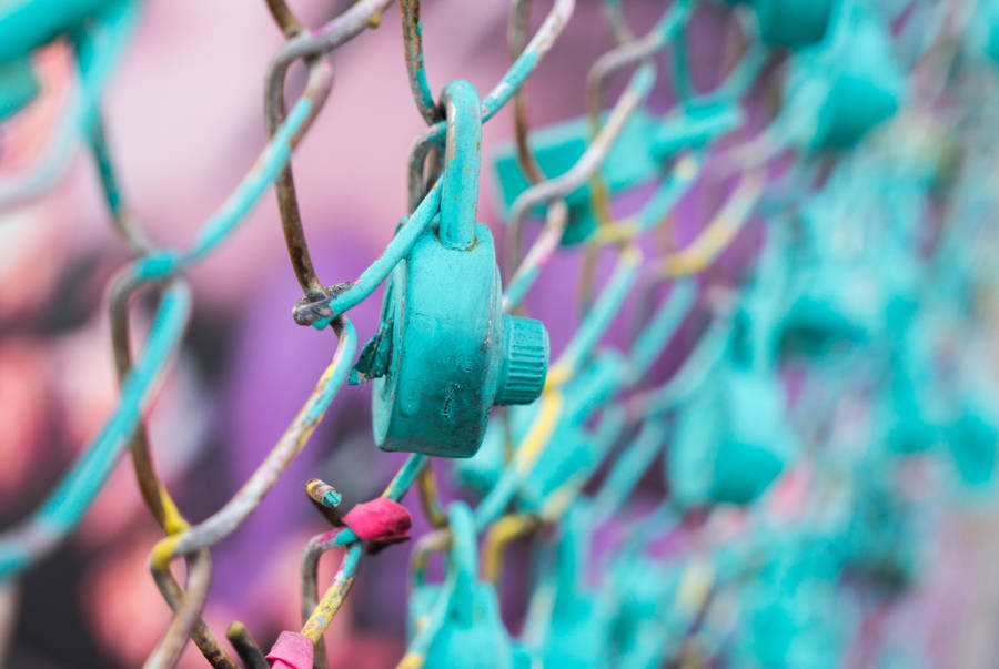 Teal Padlock On Fence Wallpaper
