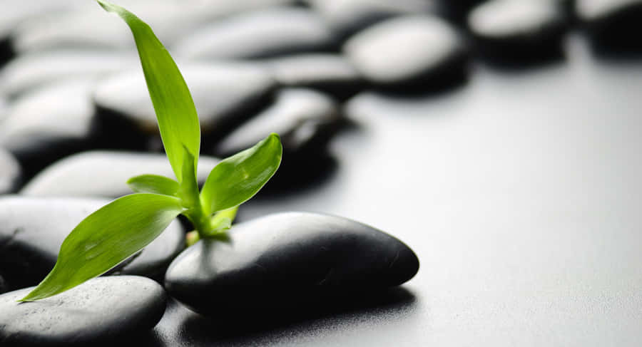 Technology Innovation Wallpaper