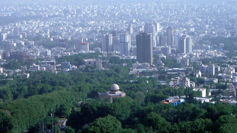 Tehran City Trees Wallpaper