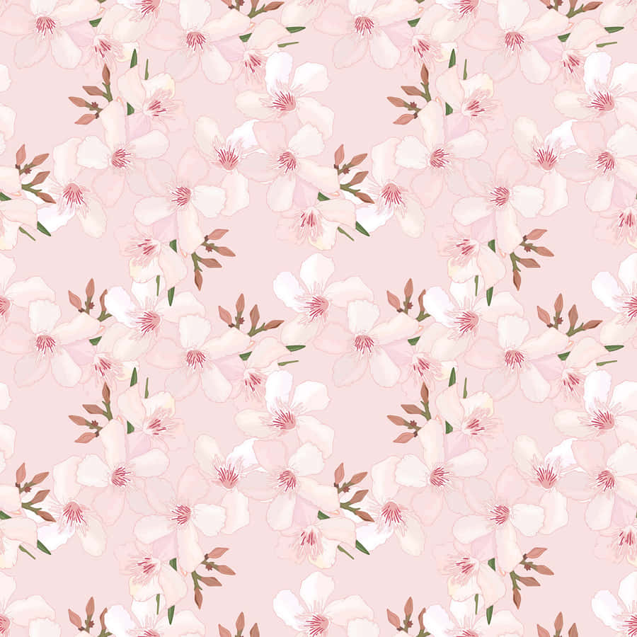Tender Pink Cherry Blossoms Wallpaper