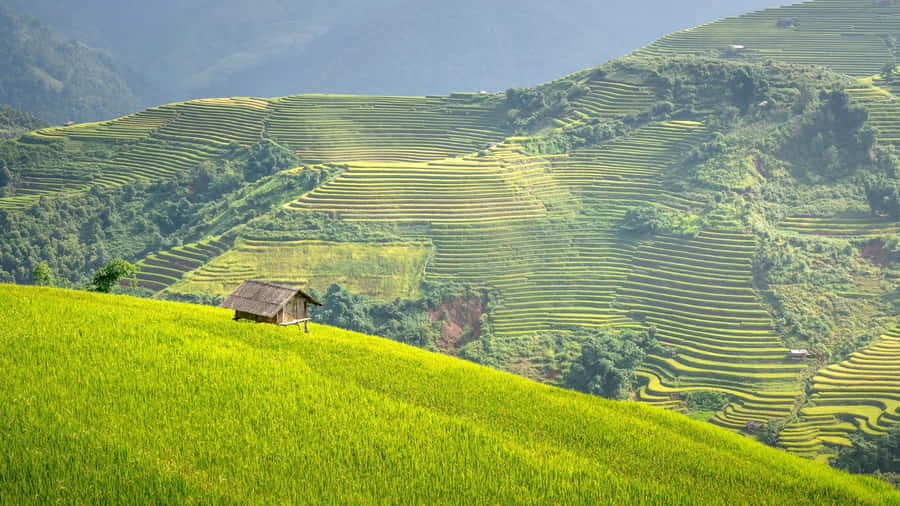 Terraced Farmland In Mountain Valley Wallpaper